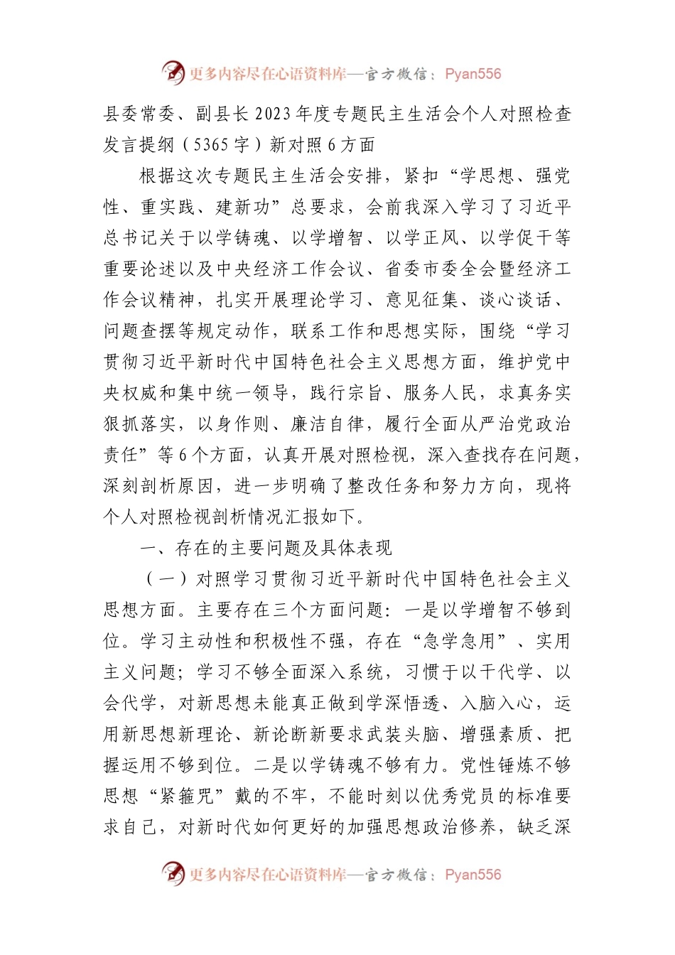 县委常委、副县长2023年主题教育民主生活会个人对照检查材料（践行宗旨等6个方面）(1).docx_第1页