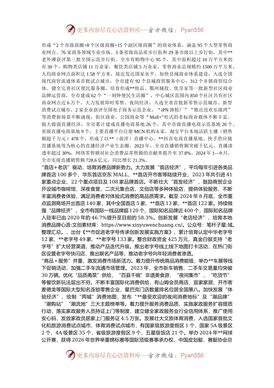 在2024年全市促消费工作推进会上的汇报发言.docx_第2页