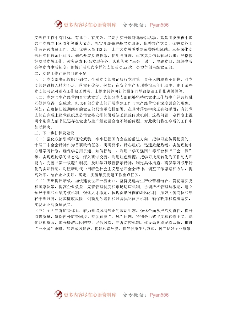 国有企业党支部2024年党建工作情况总结及下一步工作计划.docx_第2页