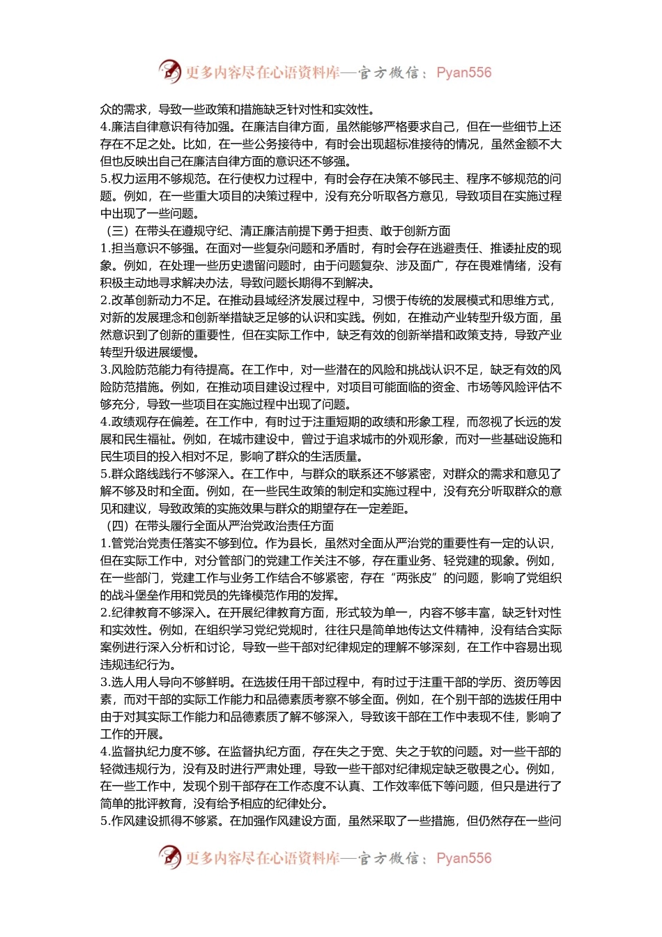 县长关于2024年度民主生活会“四个带头”个人对照检视发言材料.docx_第2页