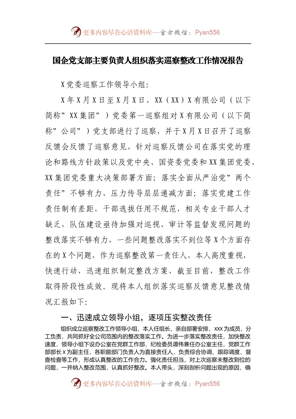 国企公司落实巡察整改工作情况报告.docx_第1页