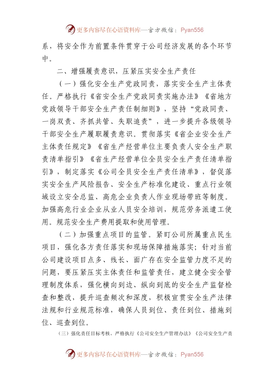 国企2023年安全生产工作要点.docx_第2页