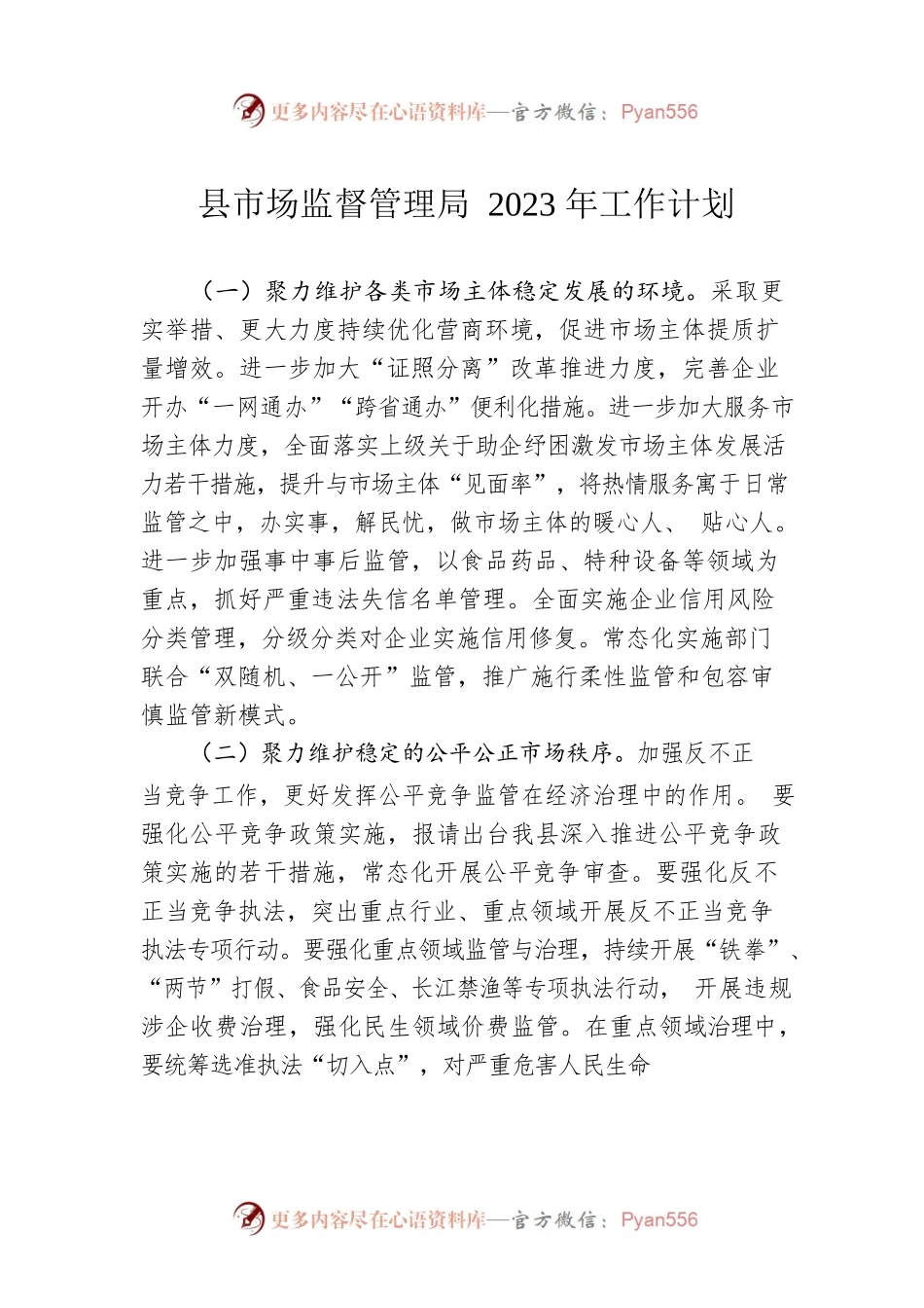 县市场监督管理局2023年工作计划.docx_第1页