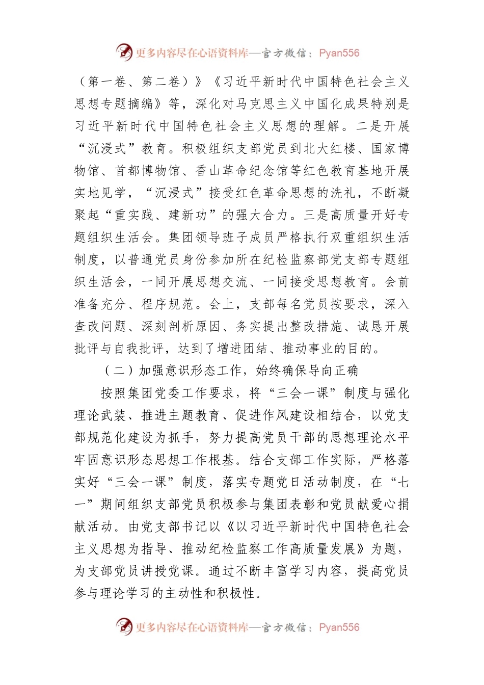 国企纪检监察部党支部全面从严治党（党建）工作报告.docx_第2页