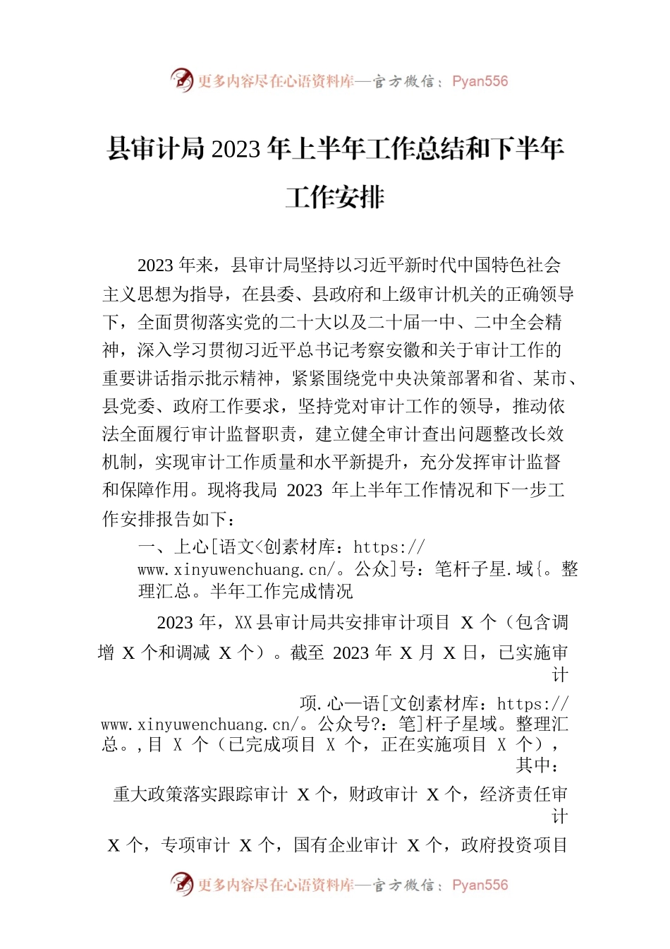 县审计局2023年上半年工作总结和下半年工作安排(20230704).docx_第1页