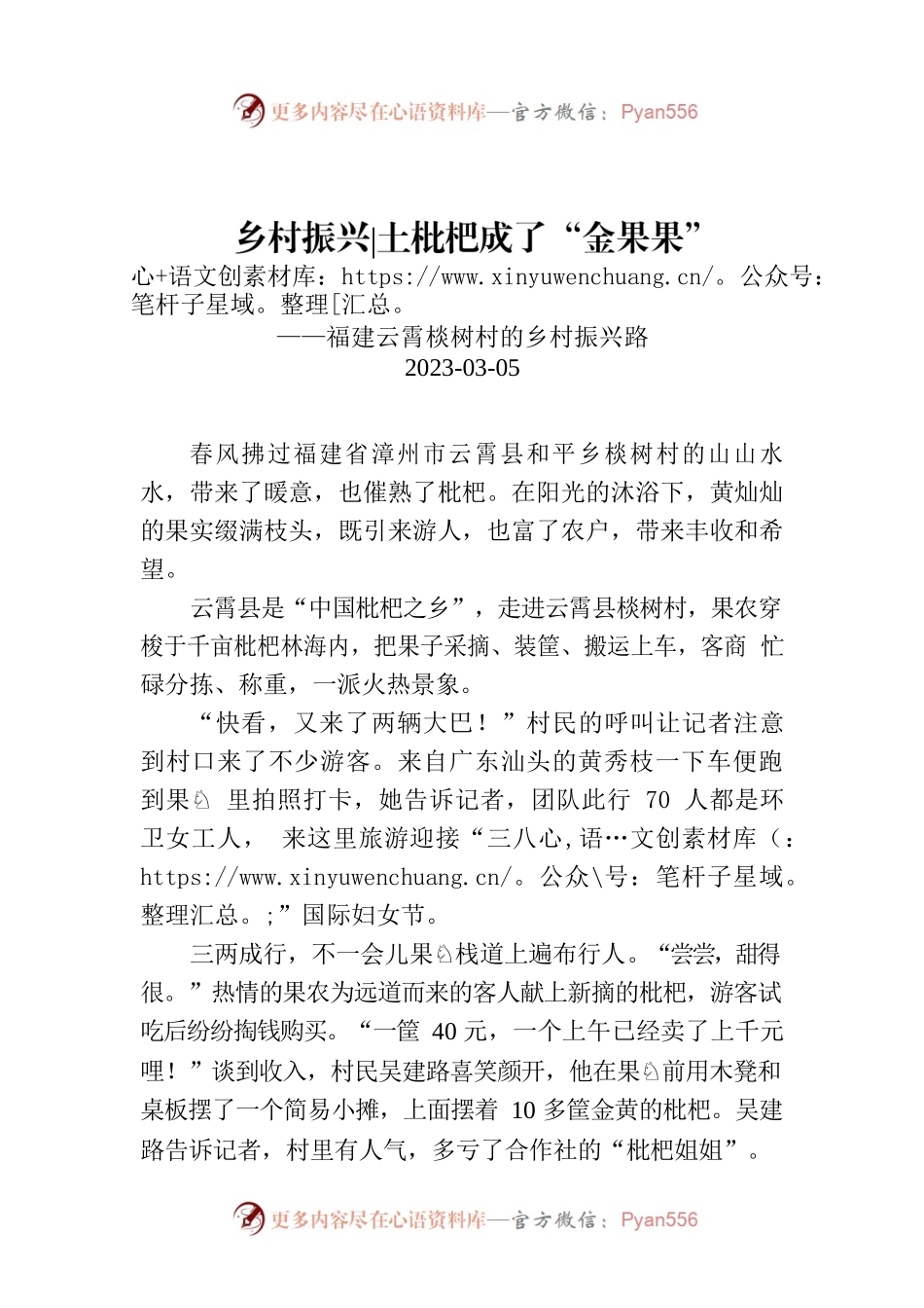 土枇杷成了“金果果”.docx_第1页
