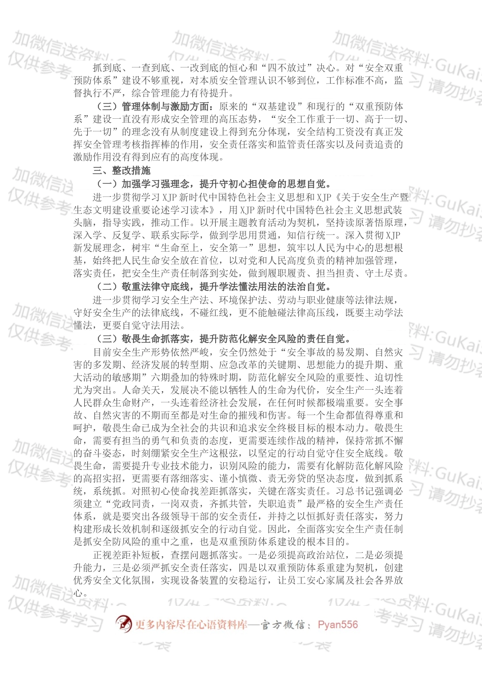 国企副总经理安全生产以案促改专题民主生活会个人发言提纲.docx_第2页