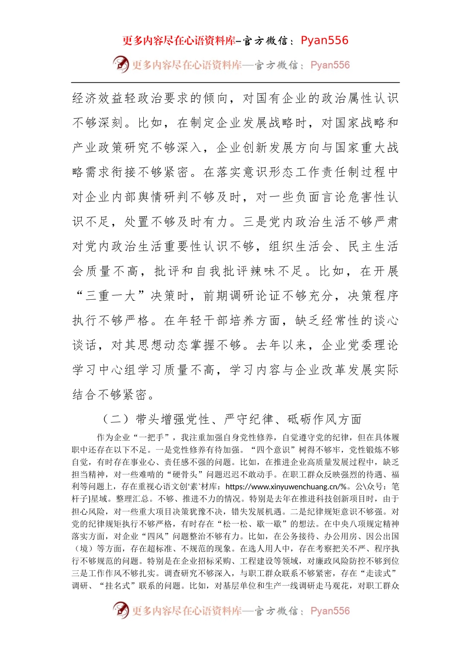 国企党委书记2024年民主生活会个人对照检查发言材料（4108字）四个带头.docx_第2页