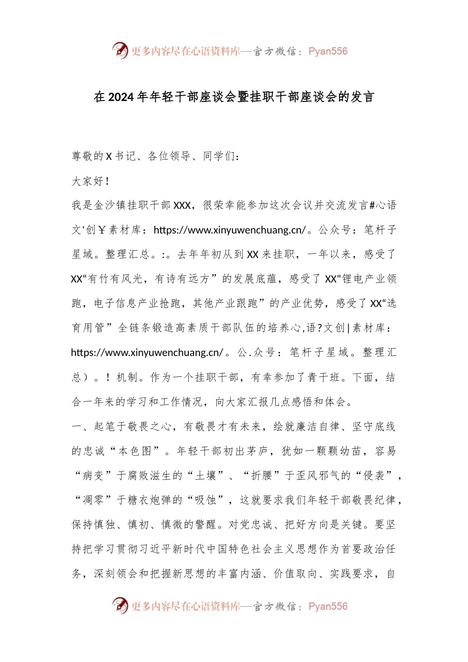 在2024年年轻干部座谈会暨挂职干部座谈会的发言.docx_第1页