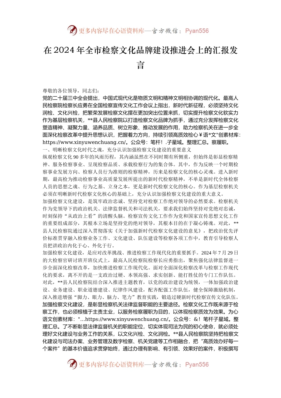 在2024年全市检察文化品牌建设推进会上的汇报发言.docx_第1页