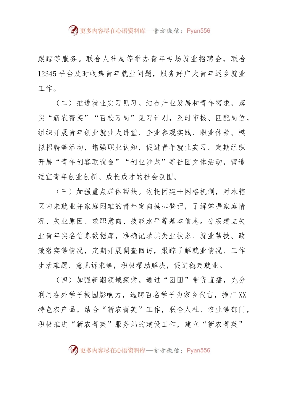 团县委乡村振兴（富民增收）工作计划总结.docx_第2页