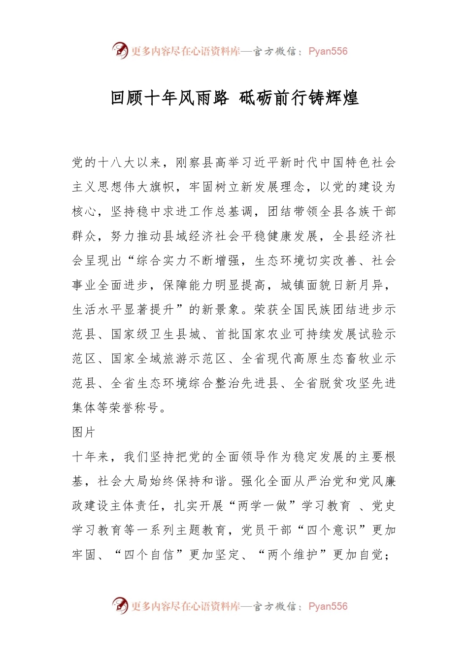 回顾十年风雨路 砥砺前行铸辉煌.docx_第1页