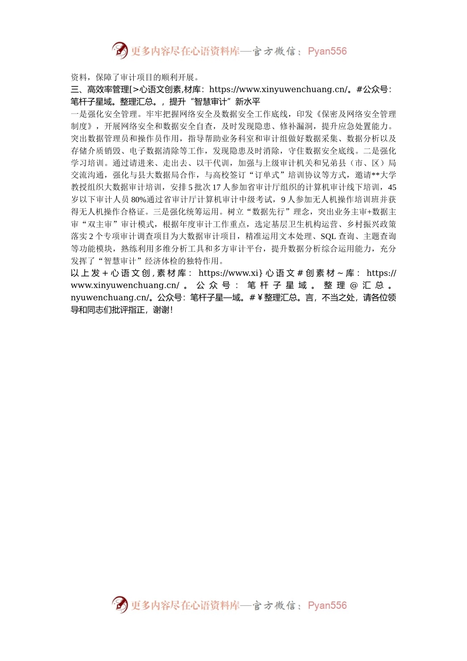 在2024年全市“智慧审计”建设座谈会上的交流发言.docx_第2页
