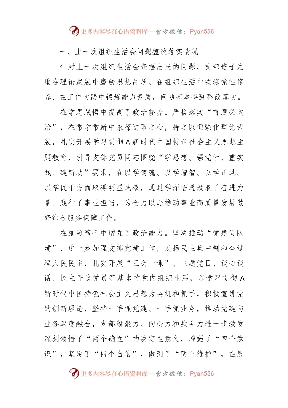 在2023年主题教育组织生活会 党支部对照检查材料.docx_第2页