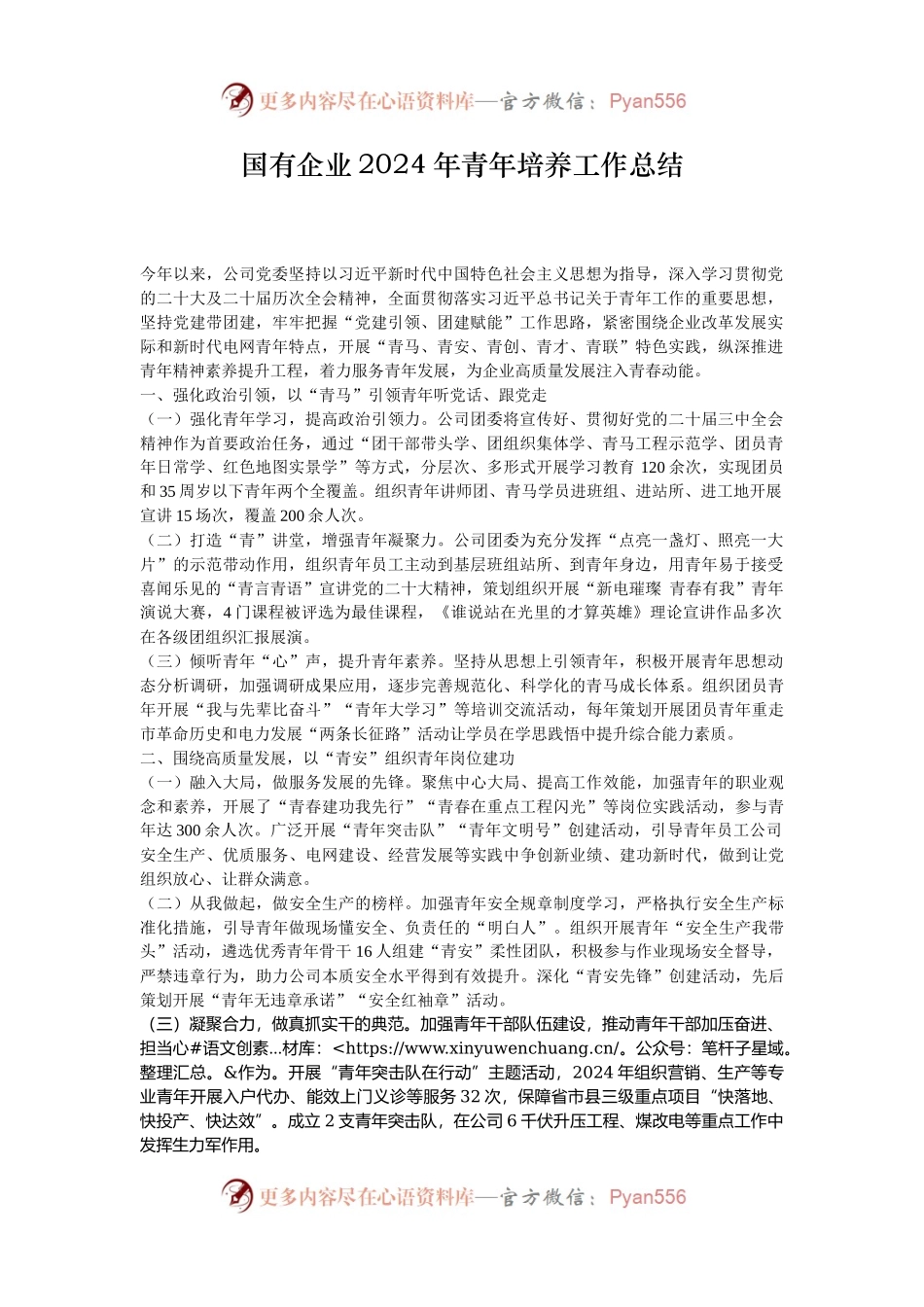 国有企业2024年青年培养工作总结.docx_第1页