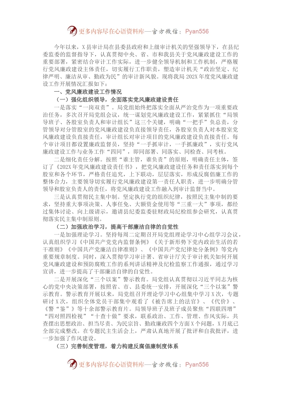 县审计局202X年度党风廉政建设工作总结.docx_第1页