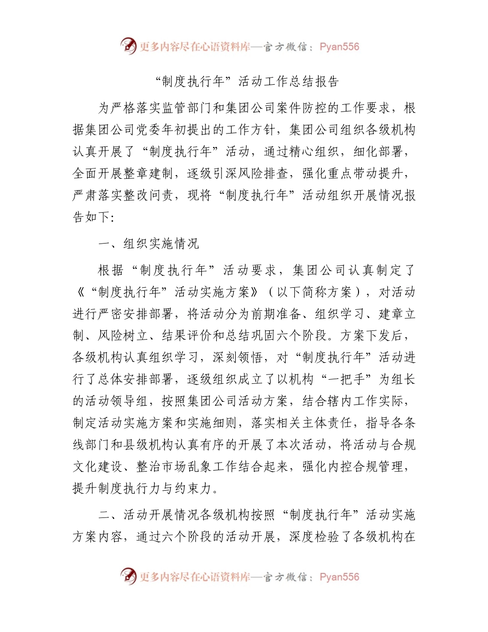 国企“制度执行年”活动工作总结报告4500字.docx_第1页