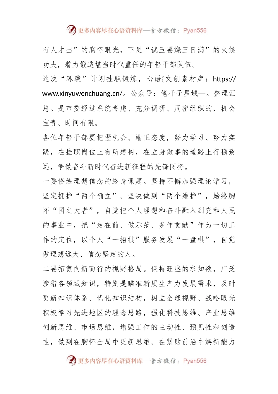 在2024年度“琢璞”计划优秀年轻干部挂职锻炼动员大会上的讲话.docx_第2页