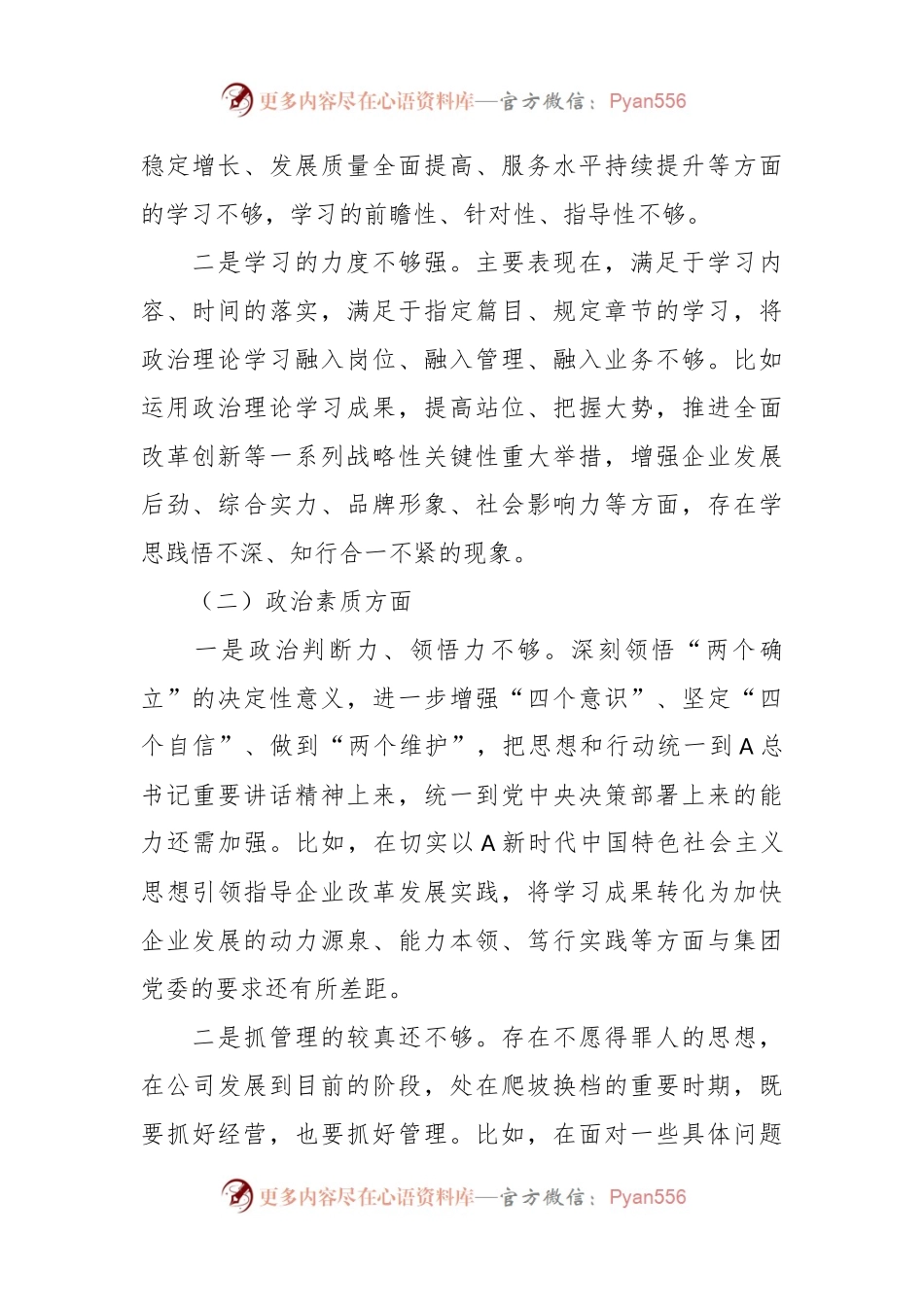 国企总经理在主题教育专题组织生活会个人发言提纲.docx_第2页