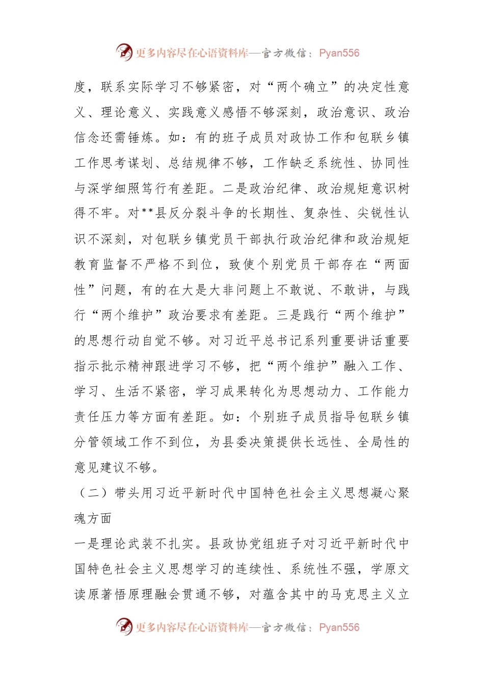 县政协党组班子上年度民主生活会对照检查材料.docx_第2页