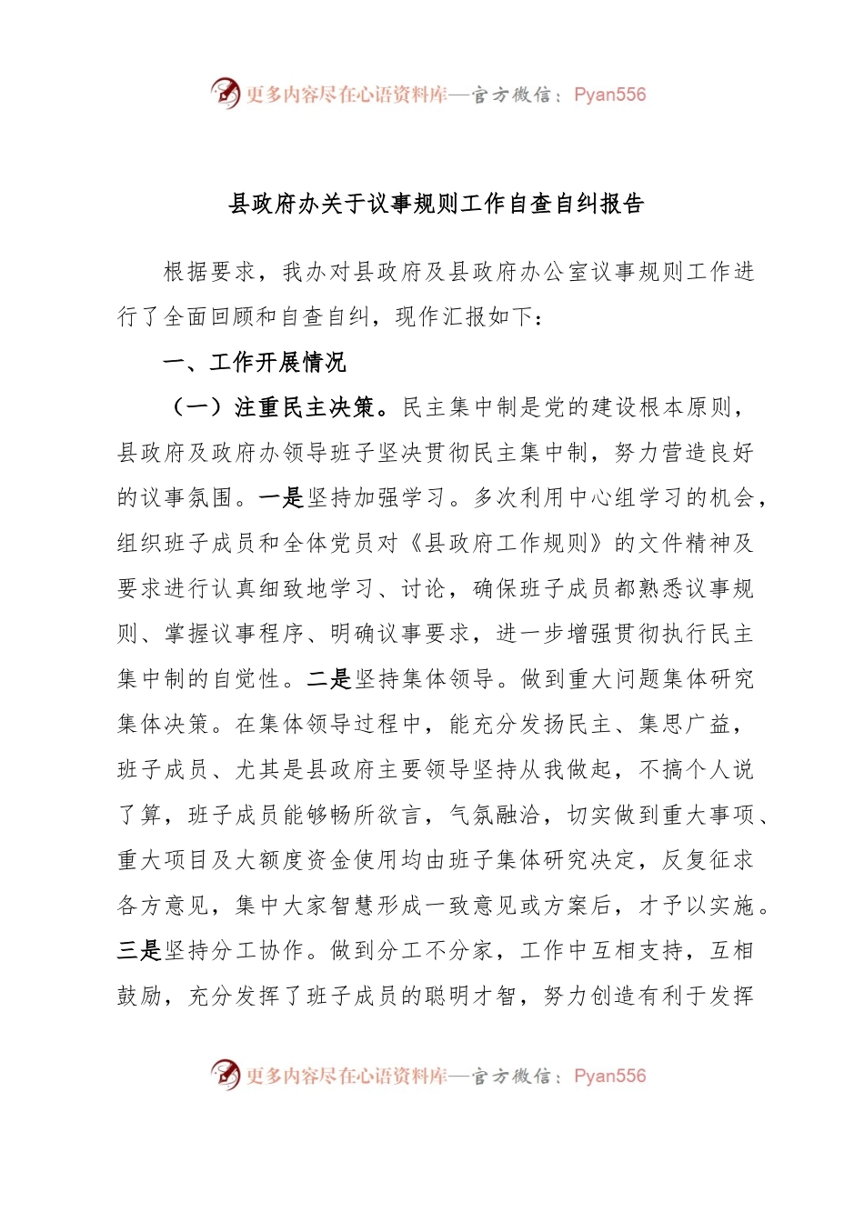 县政府办关于议事规则工作自查自纠报告.docx_第1页