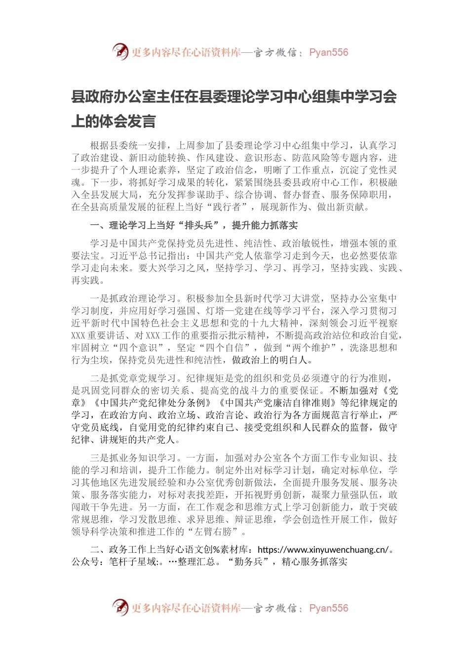 县政府办公室主任在县委理论学习中心组集中学习会上的体会发言.docx_第1页