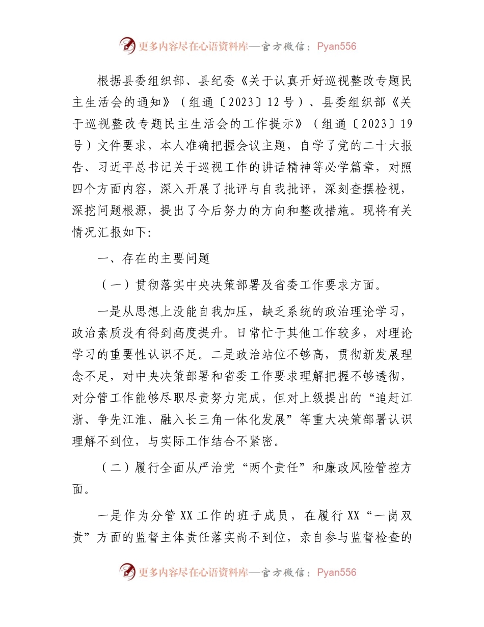 国企公司巡视（巡察）整改专题民主生活会个人对照检查发言2000字.docx_第1页