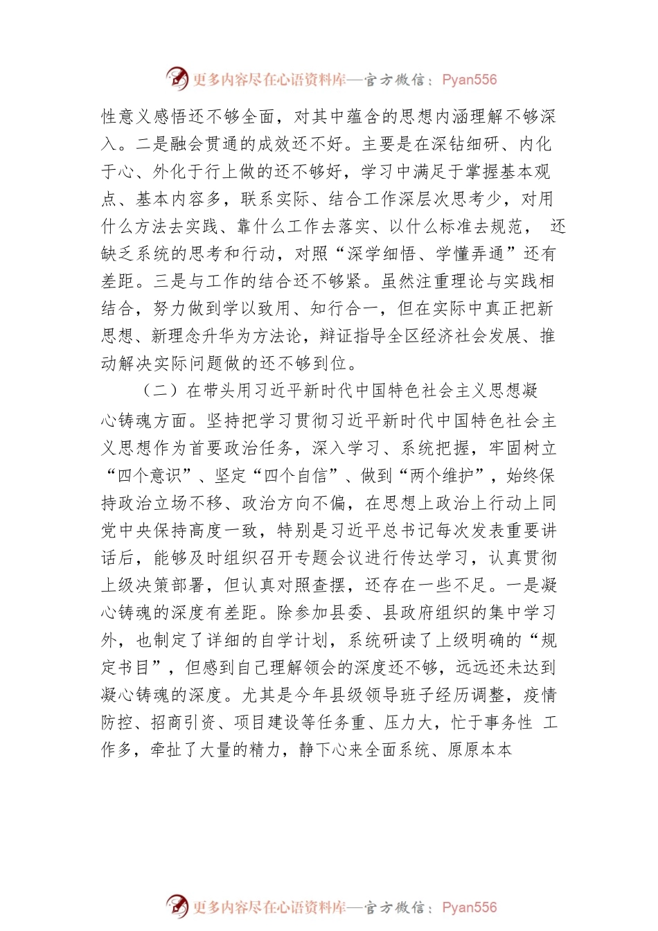 县长2022年度专题民主生活会“六个带头”对照检查发言材料.docx_第2页