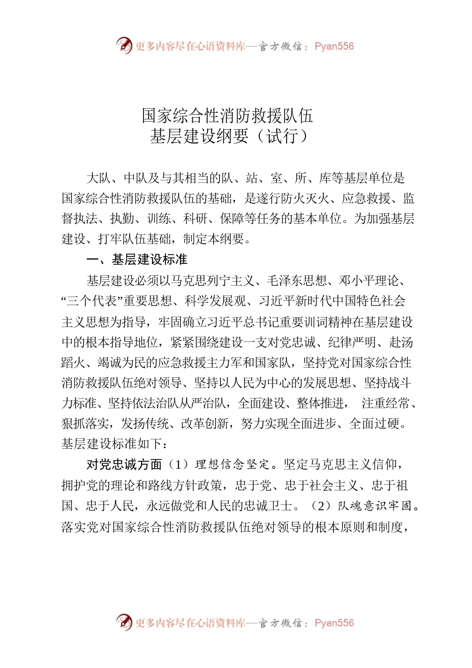 国家综合性消防救援队伍基层建设纲.docx_第1页
