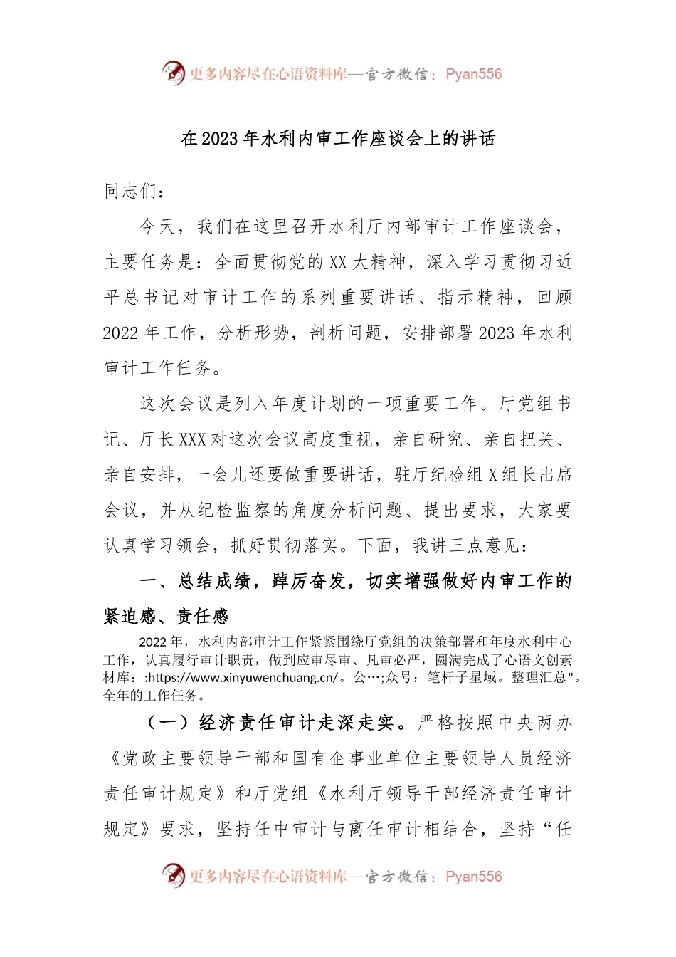 在2023年水利内审工作座谈会上的讲话.docx_第1页