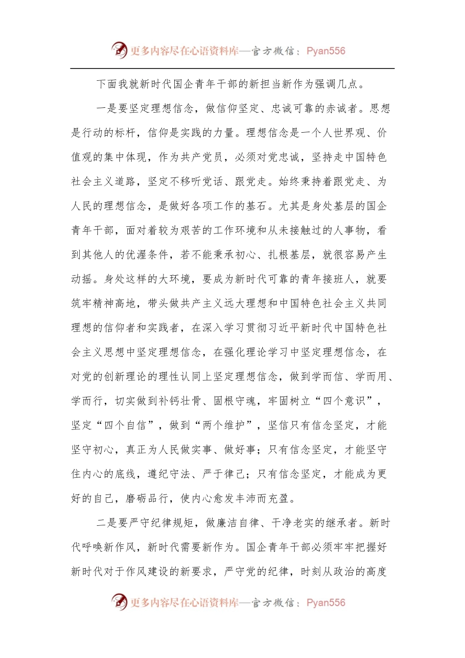 国企党委书记在新时代“青年干部”专题党课上的讲稿.docx_第2页