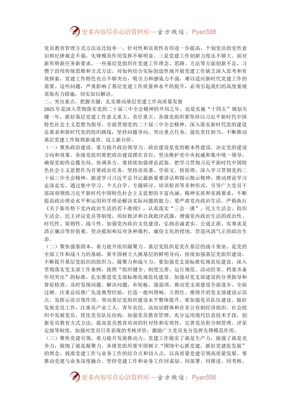 在2024年度抓党建述职评议会议上的讲话.docx_第2页