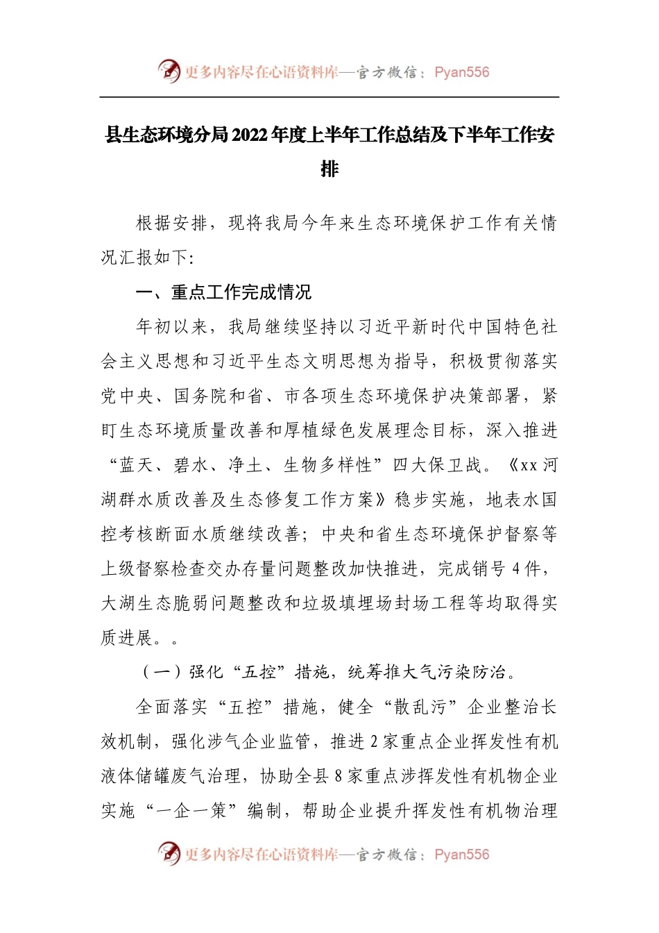 县生态环境分局2022年度上半年工作总结及下半年工作安排[2].docx_第1页