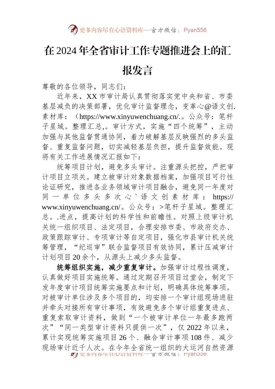 在2024年全省审计工作专题推进会上的汇报发言.docx_第1页