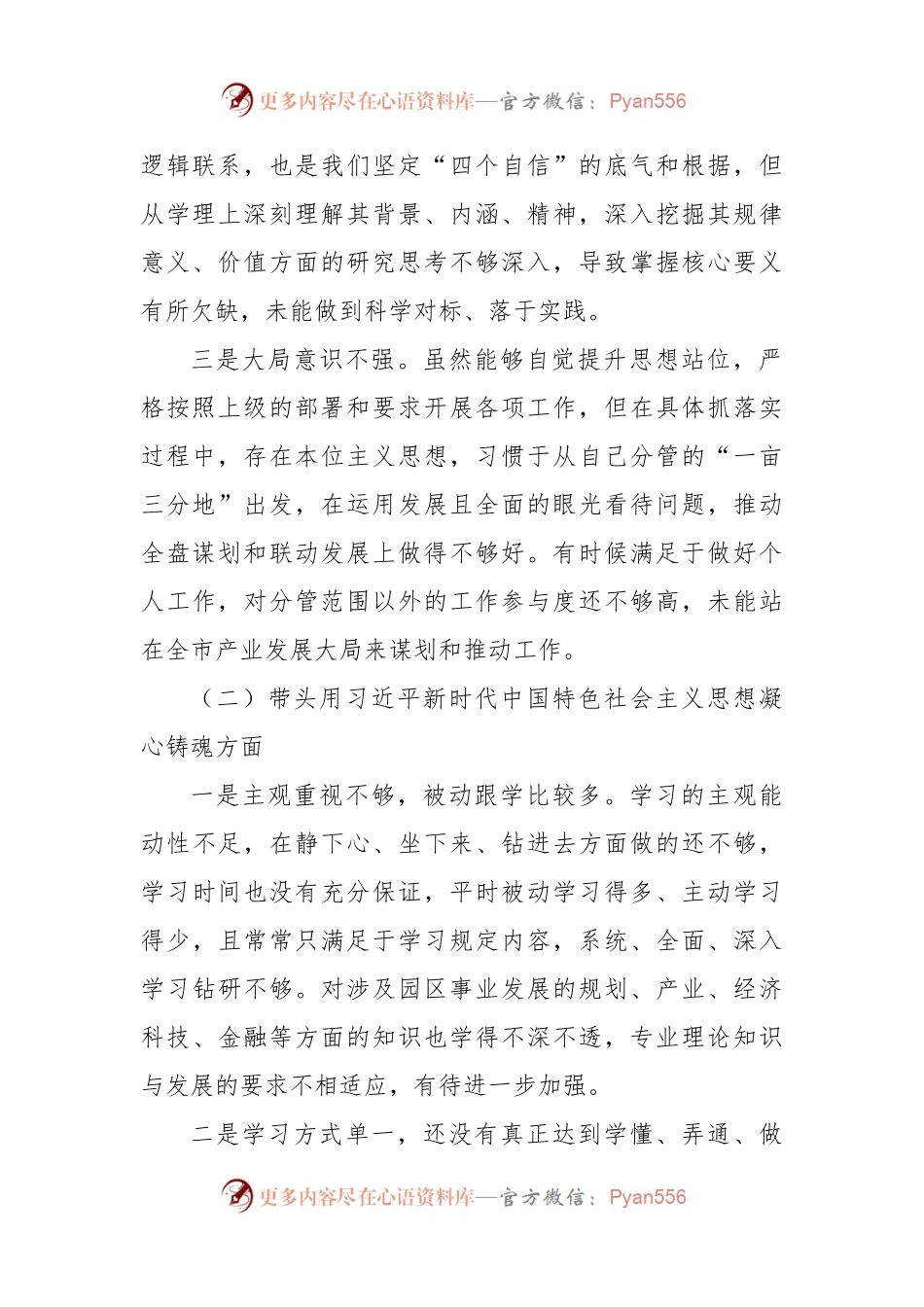 园区副书记2022年度民主生活会对照检查发言材料.docx_第2页