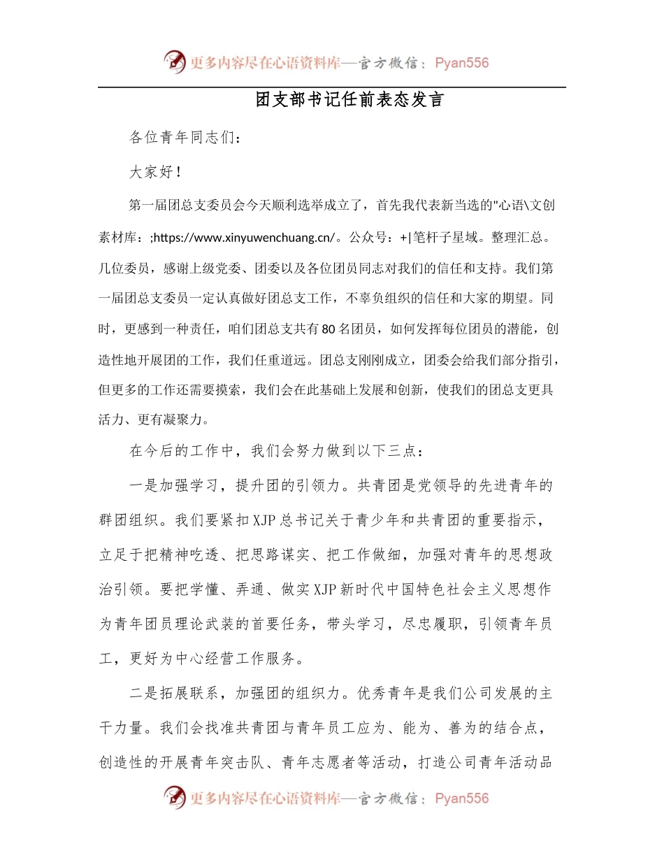 团支部书记任前表态发言.docx_第1页