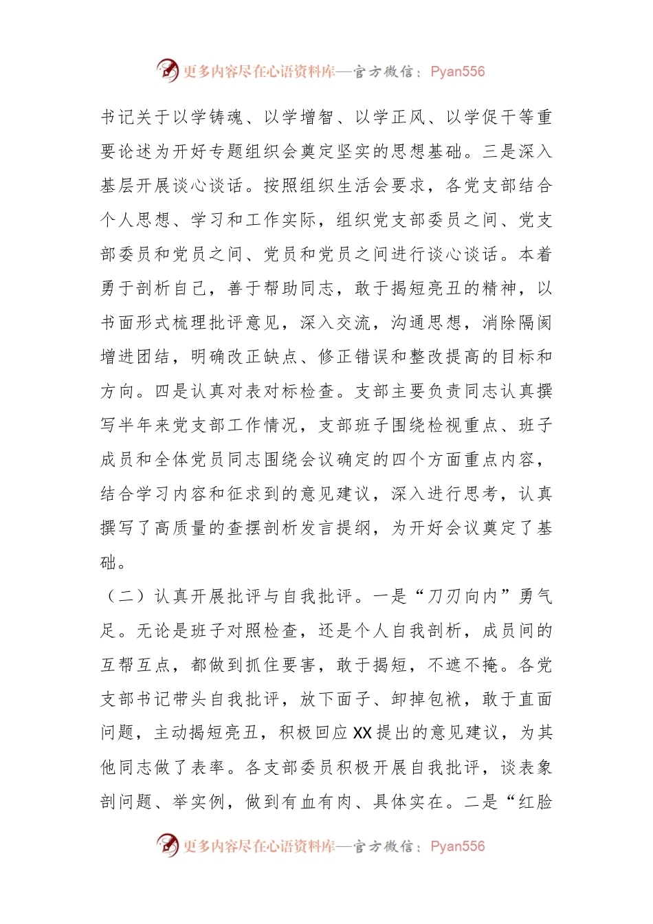 在2023年专题组织生活会的情况报告.docx_第2页