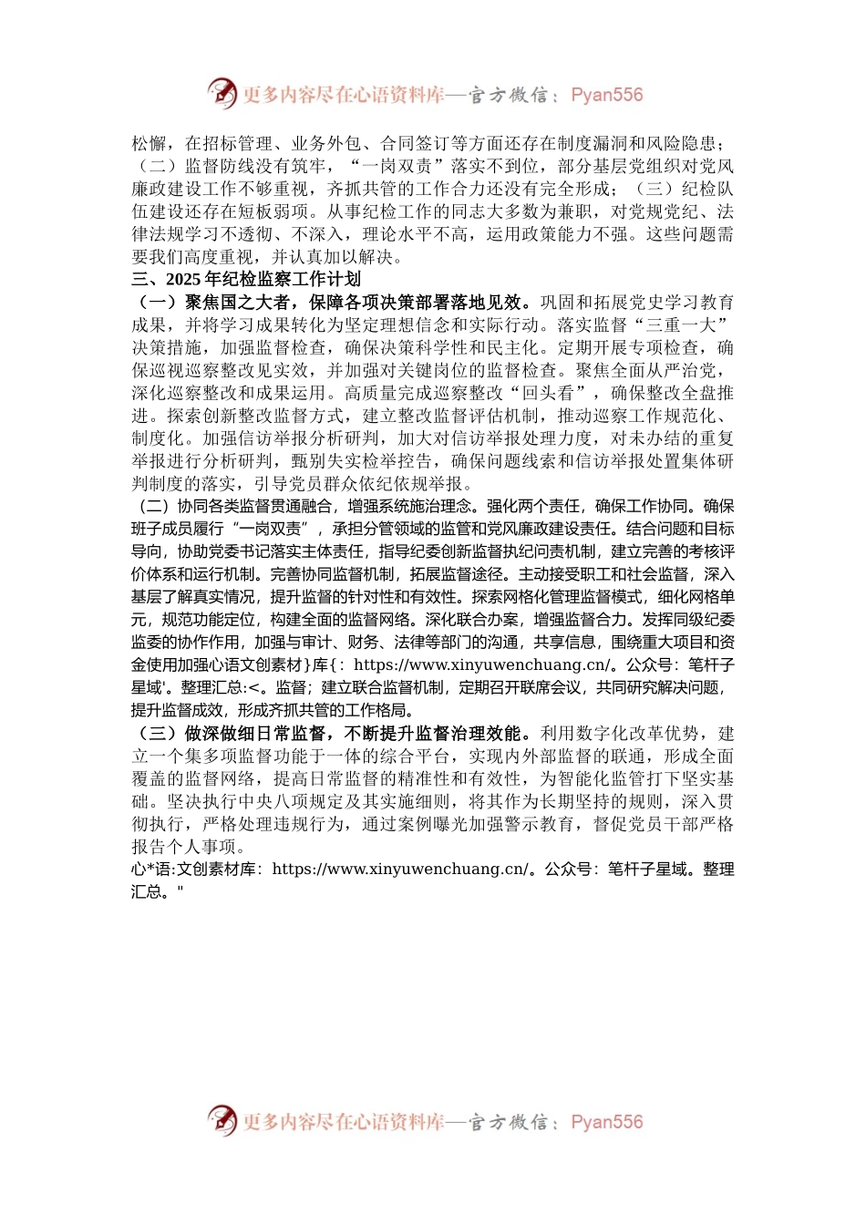 国企2024年纪检监察工作情况总结及下一步工作计划.docx_第2页