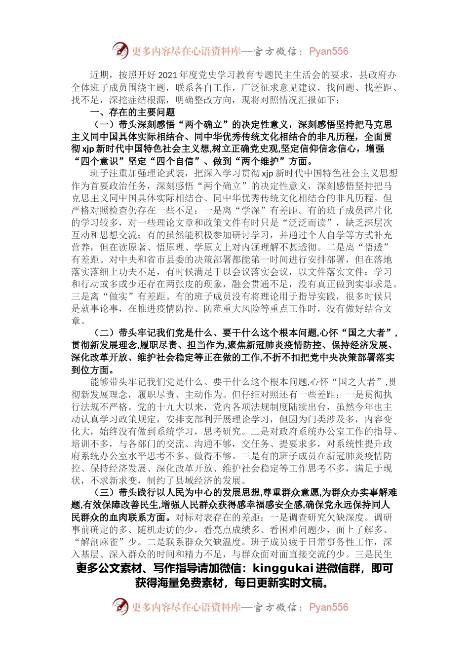 县政府办领导班子党史学习教育专题民主生活会剖析材料.docx_第1页