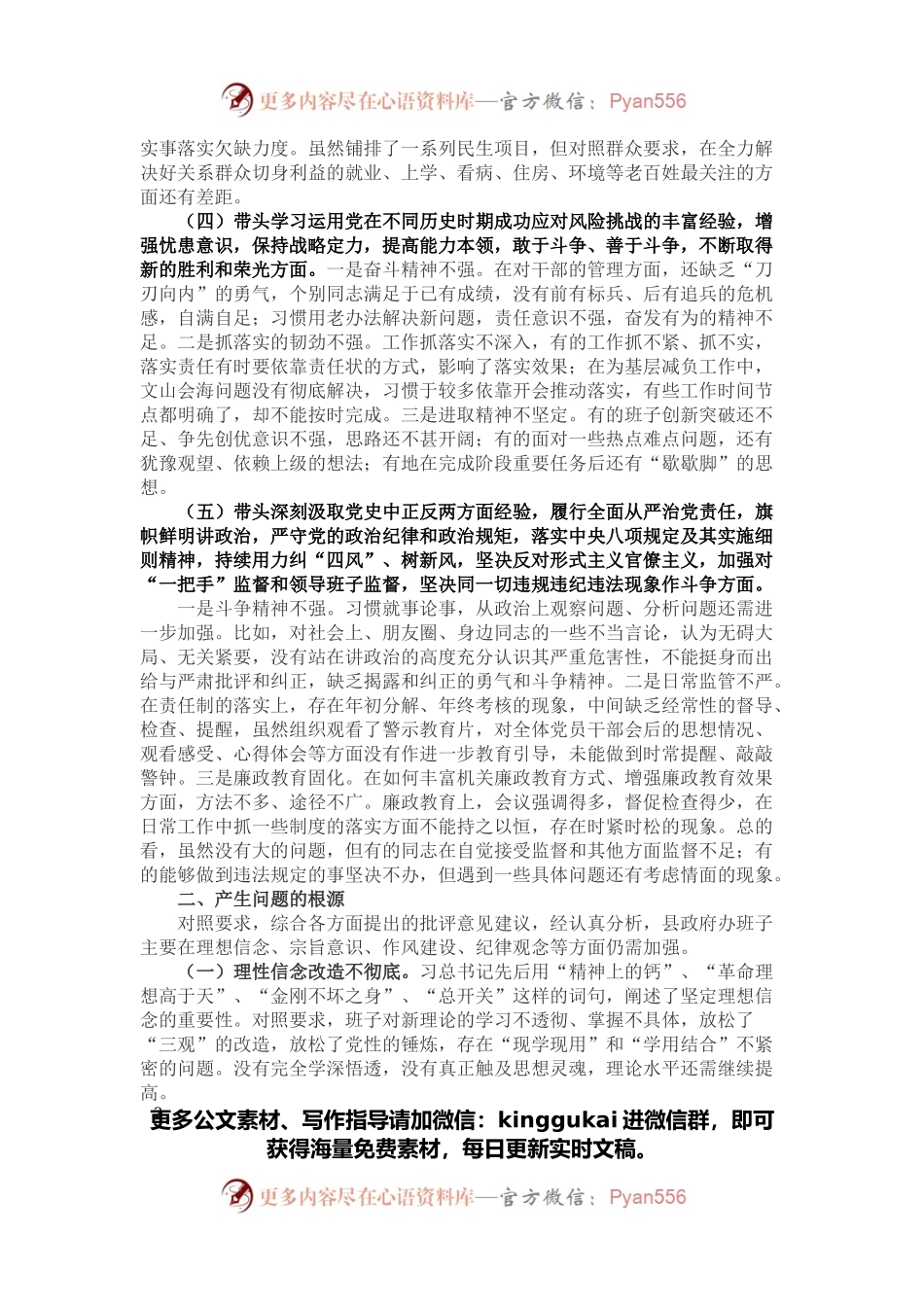 县政府办领导班子党史学习教育专题民主生活会剖析材料.docx_第2页