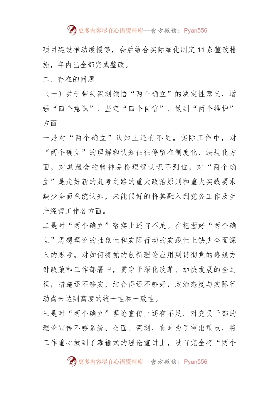 国企党员领导干部民主生活会领导班子发言提纲.docx_第2页