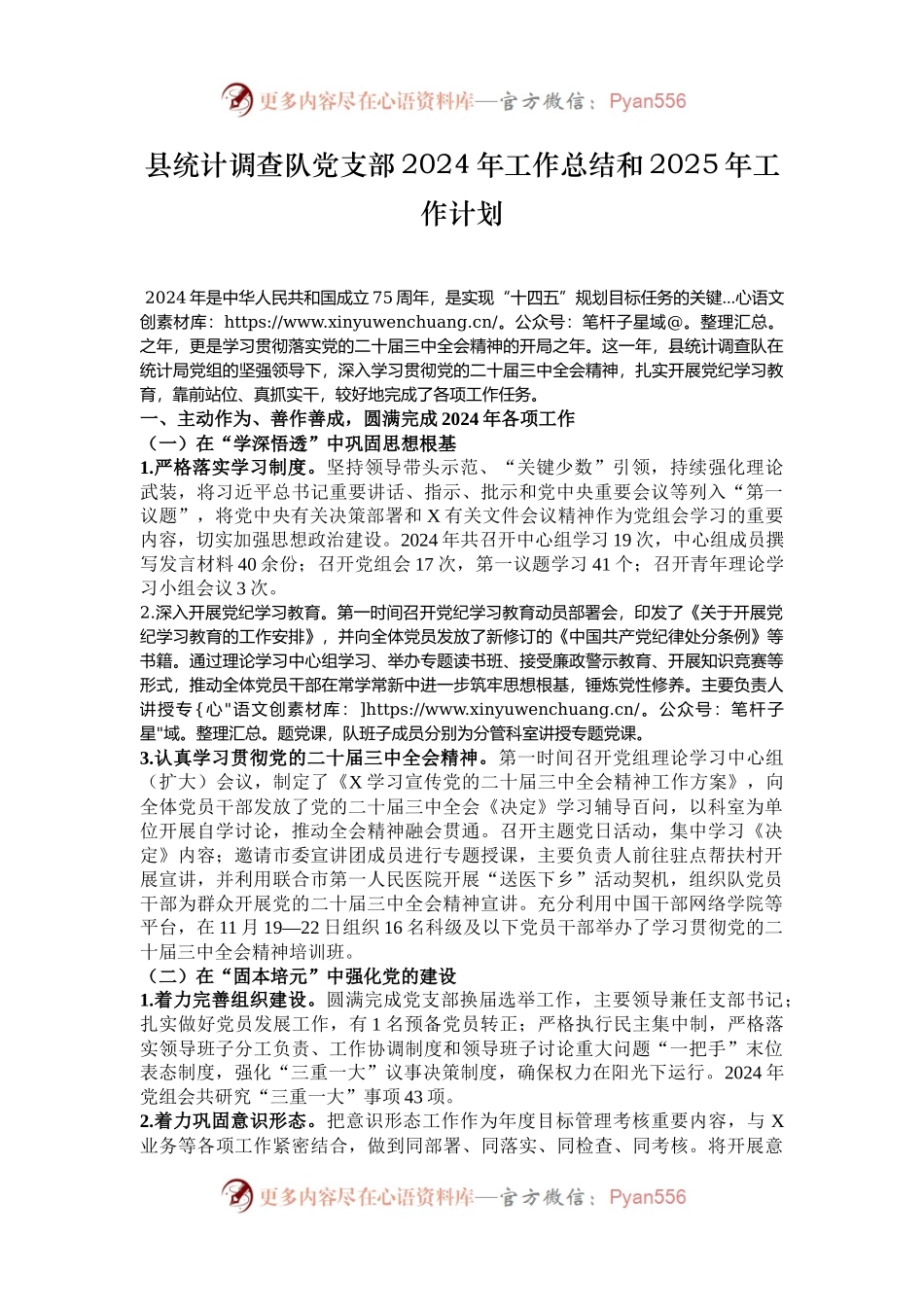 县统计调查队党支部2024年工作总结和2025年工作计划.docx_第1页