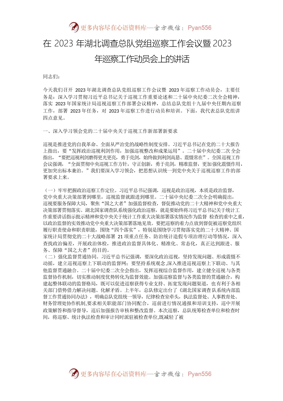 在2023年湖北调查总队党组巡察工作会议暨2023年巡察工作动员会上的讲话.docx_第1页