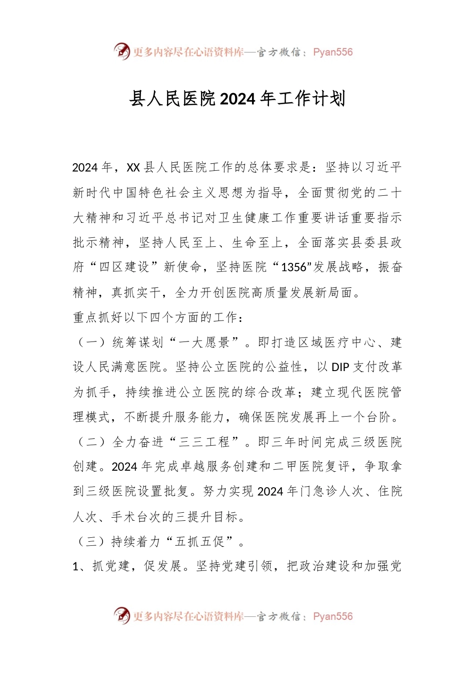 县人民医院2024年工作计划.docx_第1页