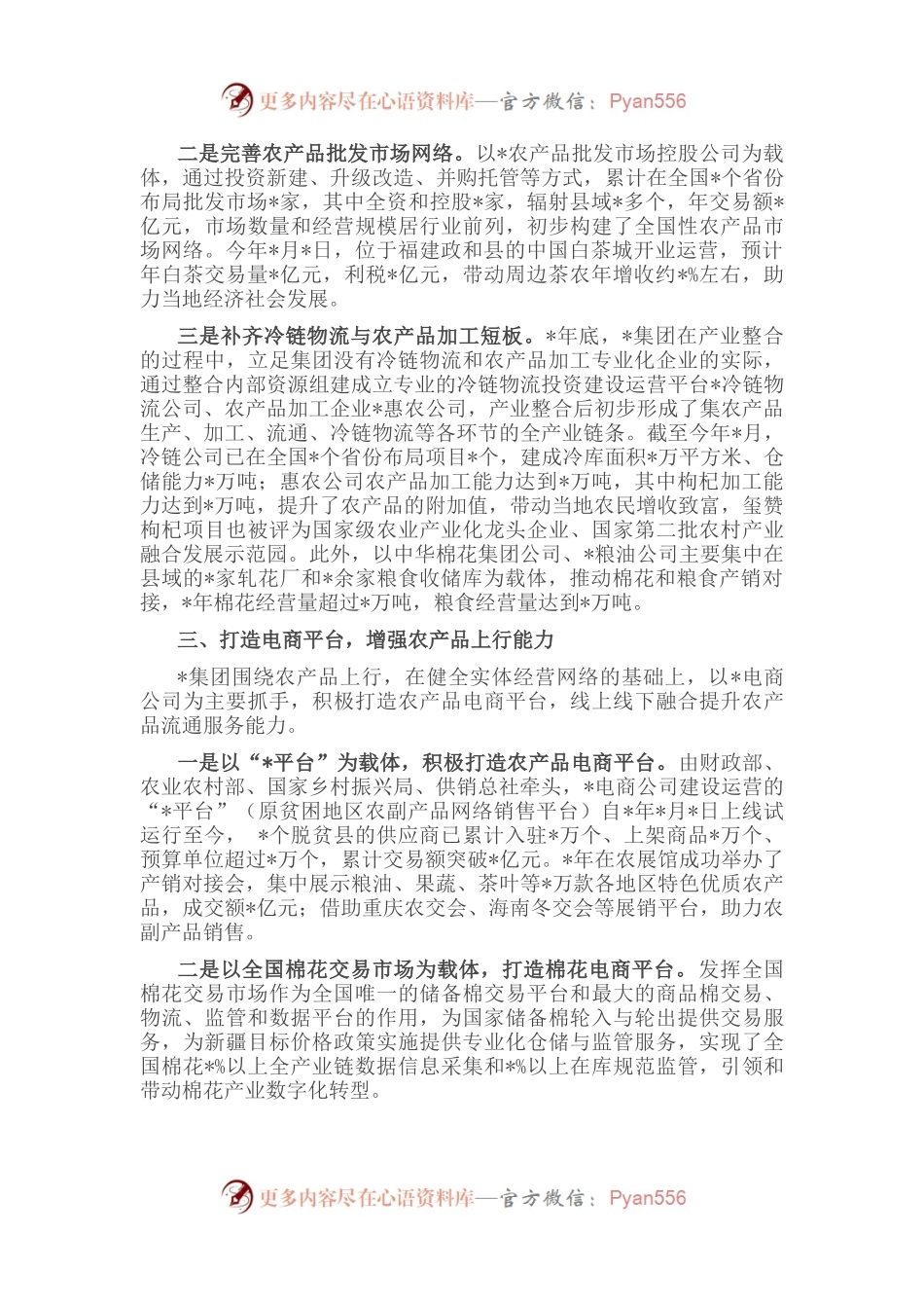 发挥网络优势 完善服务体系 为促进农村消费贡献力量——全国农村商业建设工作现场会经验交流材料.docx_第2页