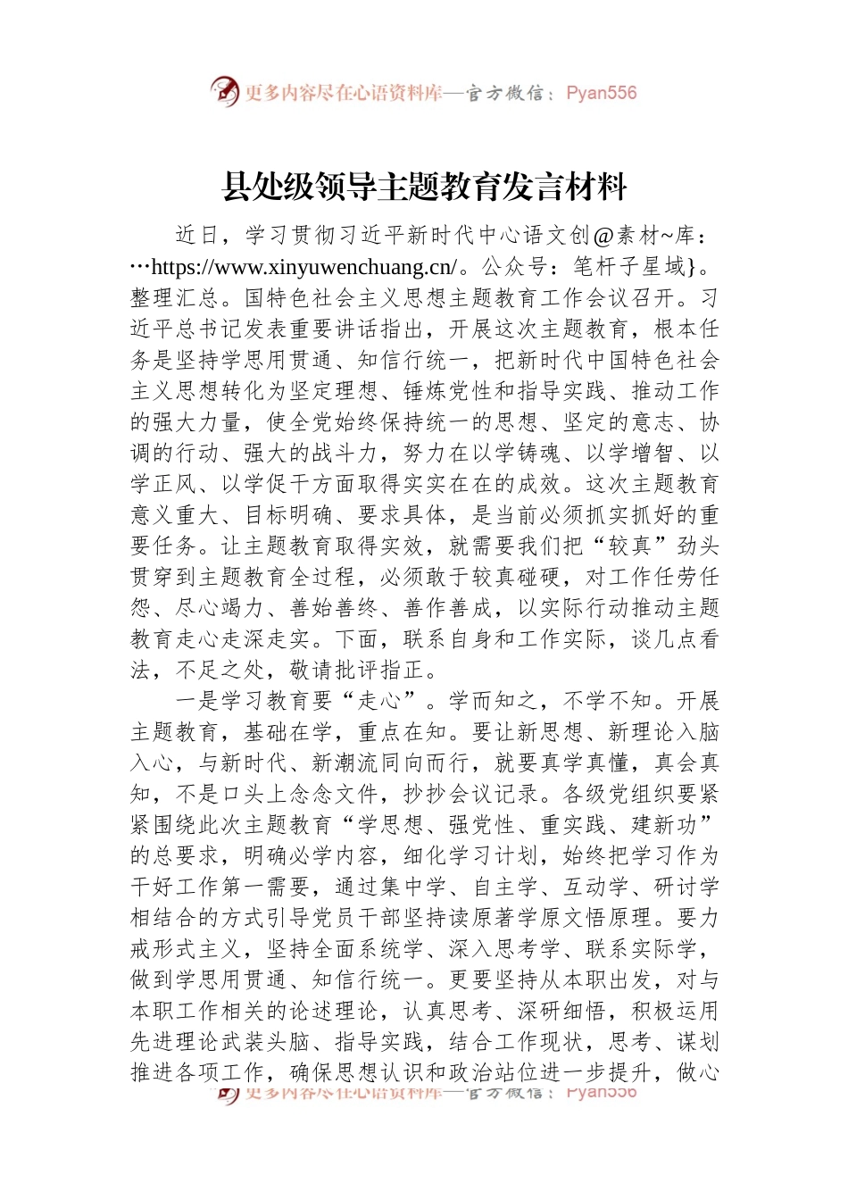 县处级领导主题教育发言材料.docx_第1页