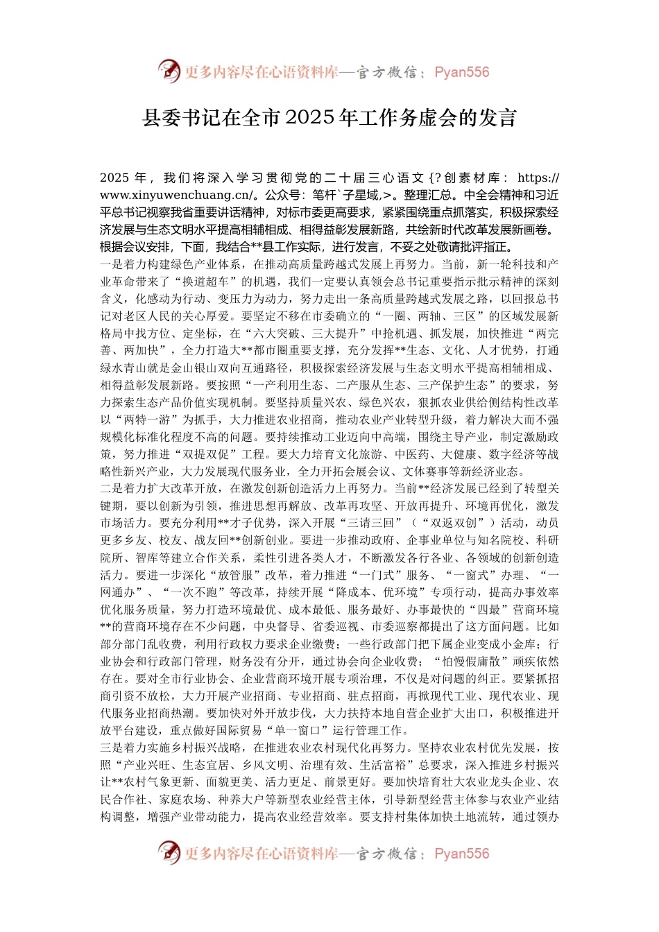 县委书记在全市2025年工作务虚会的发言.docx_第1页