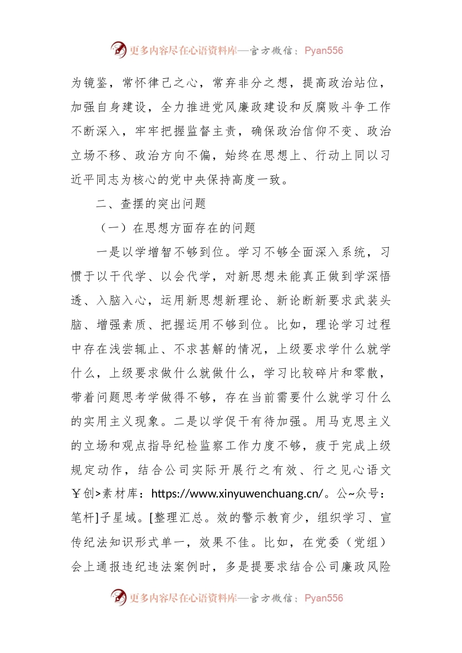 国企党委副书记关于“一案一整改”专题民主生活会个人发言提纲.docx_第2页