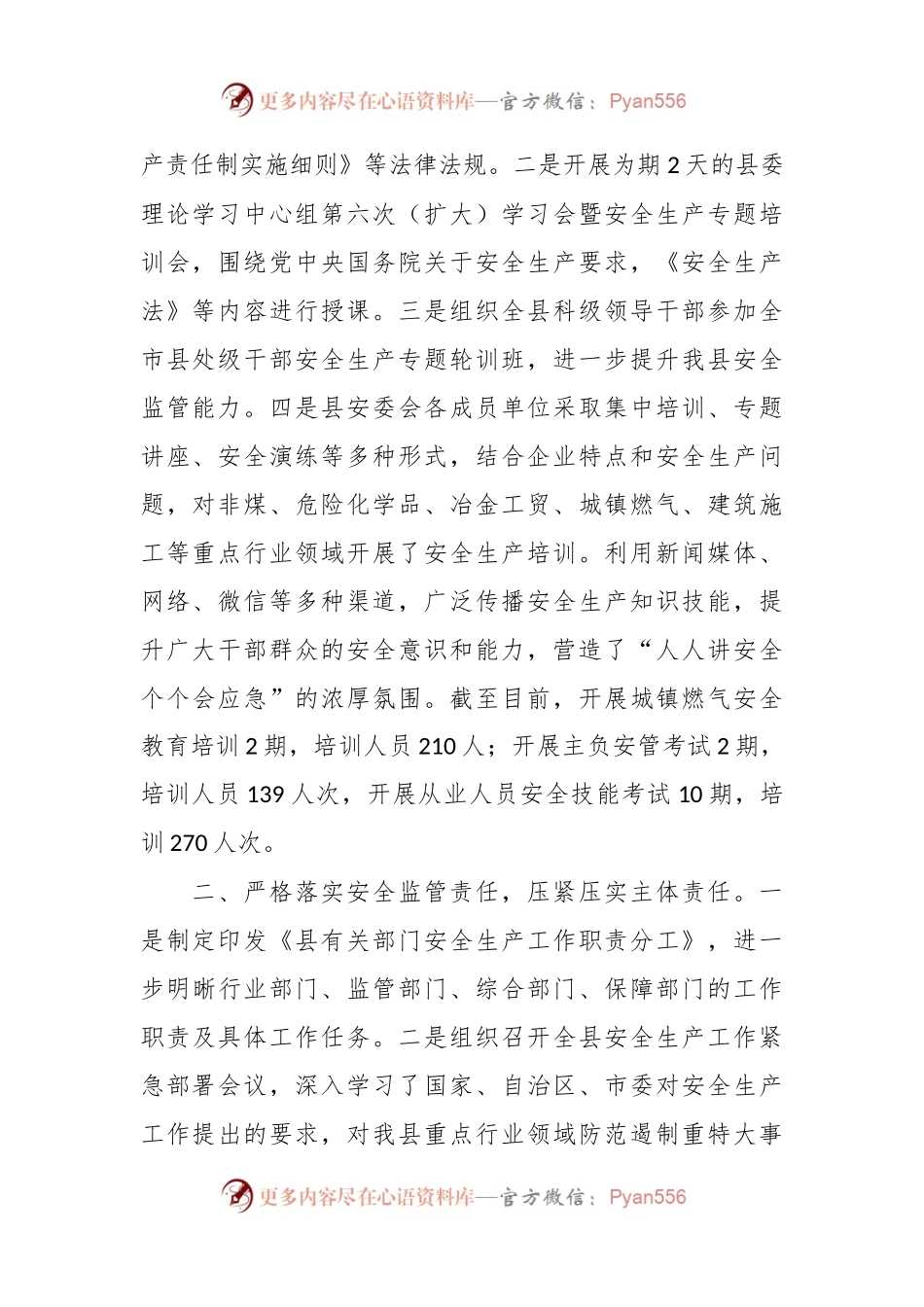 县应急管理局长在主题教育“安全生产”专题研讨交流会上的发言.docx_第2页