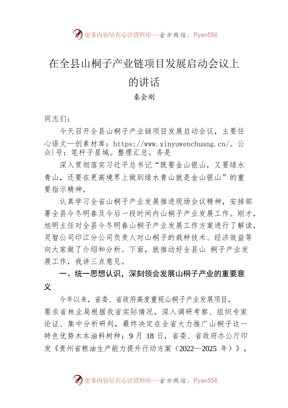 县长秦会刚：在全县山桐子产业链项目发展启动会议上的讲话.docx_第1页